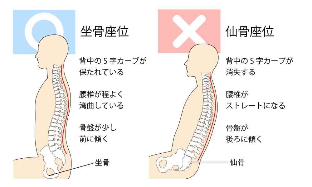 正しい姿勢